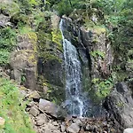 Nid Vosgien Chaleureux A 5mn Des Cascades De Tendon Et 20mn De Gerardmer 公寓 *