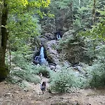 公寓 Nid Vosgien Chaleureux A 5mn Des Cascades De Tendon Et 20mn De Gerardmer