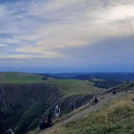 Lägenhet Nid Vosgien Chaleureux A 5mn Des Cascades De Tendon Et 20mn De Gerardmer *