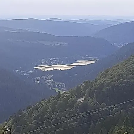 Lägenhet Nid Vosgien Chaleureux A 5mn Des Cascades De Tendon Et 20mn De Gerardmer *