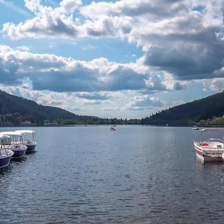 Nid Vosgien Chaleureux A 5mn Des Cascades De Tendon Et 20mn De Gerardmer *