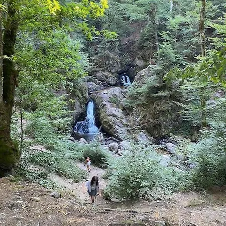Lägenhet Nid Vosgien Chaleureux A 5mn Des Cascades De Tendon Et 20mn De Gerardmer