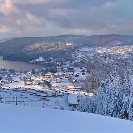 Apartment Cosy Ambiance Vosgienne A 20 Mn De Gerardmer