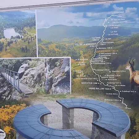 Appartement Cosy Ambiance Vosgienne A 20 Mn De Gerardmer *