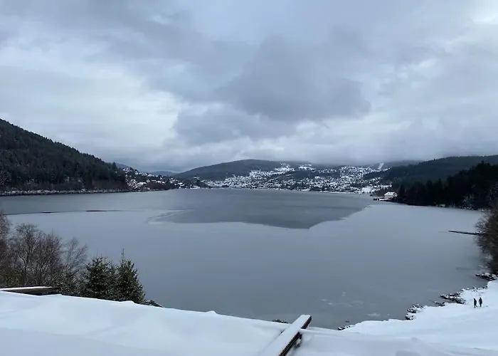 公寓 Nid Vosgien Chaleureux A 5mn Des Cascades De Tendon Et 20mn De Gerardmer *