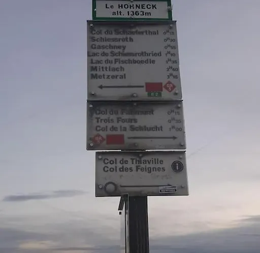 公寓 Nid Vosgien Chaleureux A 5mn Des Cascades De Tendon Et 20mn De Gerardmer Lepanges-sur-Vologne