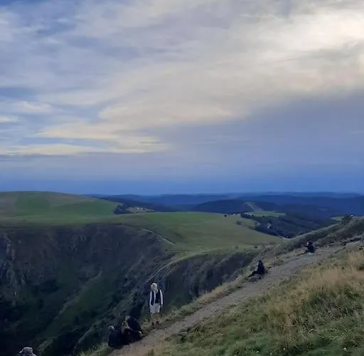 公寓 Nid Vosgien Chaleureux A 5mn Des Cascades De Tendon Et 20mn De Gerardmer *