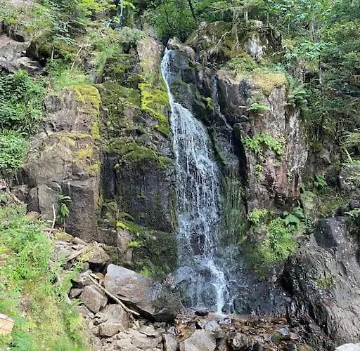 Nid Vosgien Chaleureux A 5mn Des Cascades De Tendon Et 20mn De Gerardmer 公寓 *