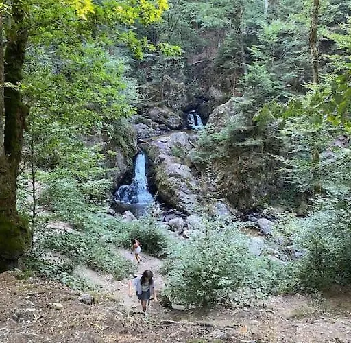 Apartment Nid Vosgien Chaleureux A 5mn Des Cascades De Tendon Et 20mn De Gerardmer