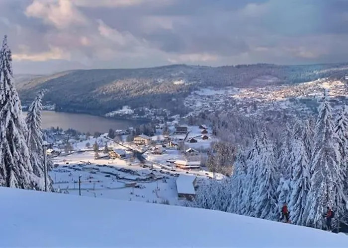 公寓 Nid Vosgien Chaleureux A 5mn Des Cascades De Tendon Et 20mn De Gerardmer