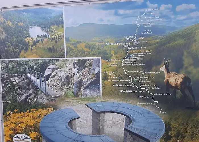 公寓 Nid Vosgien Chaleureux A 5mn Des Cascades De Tendon Et 20mn De Gerardmer *